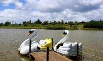 Imagem 6: Sou um lote privilegiado no Condomínio Fazenda Real, com 750m² e custo R$ 67 mil!