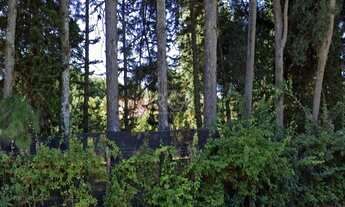 Imagem 2: Porto Alegre - Sítio - Belém Velho