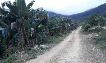 Imagem 6: Eldorado - Fazenda - Vergueiro