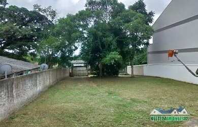 Imagem 5: Sítio praticamente dentro de Viamão, perfeito para morar e lazer