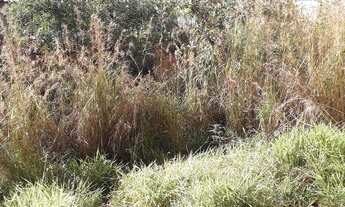 Imagem 2: Excelente lote no Jardim Montanhês