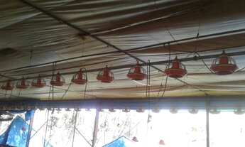 Imagem 4: Sítio/Granja Morungaba/Tuiuti/SP/BR