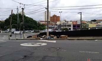 Imagem 7: TERRENO NA ÁGUA RASA COM 2 FRENTES À 50 METROS DA AV. SALIM FARAH MALUF