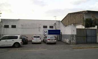 Imagem: Barracão, Campos dos Amaraes