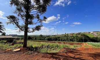 Imagem: Chácara Ibiporã