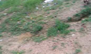 Imagem 3: Terreno em passarinho Recife