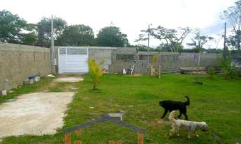 Imagem 4: ÓTIMA CASA COM TERRENO ENORME