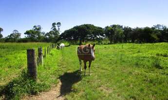 Imagem 4: Porto Alegre - Terreno Padrão - Lami