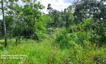 Imagem 6: Chácara à venda em Taquara RS