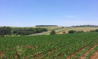 Imagem 3: Fazenda/Sítio/Chácara para venda tem 500 metros quadrados com 4 quartos