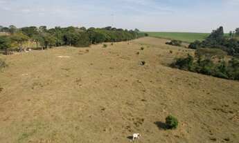 Imagem 3: Sítio à venda em Porto Feliz - SP