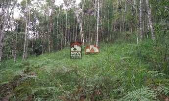Imagem 3: Natividade da Serra - Terreno Padrao - Paraíbuna