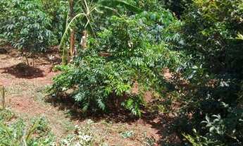 Imagem 5: Chácara Chácara com venda por R$150.000