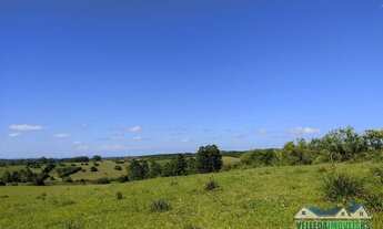Imagem 2: Sítio 20 hectares, com casa, galpão alvenaria e açude em Águas claras