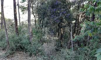 Imagem 7: Lote em condom?nio em Macaos