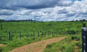 Imagem 4: Fazenda para venda tem 260 alqueires para pecuária Centro - Pacajá - PA