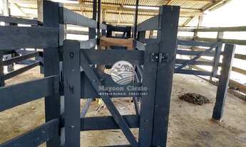 Imagem: Monte Negro - Chácara - 8.5 Alqueires