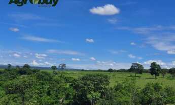 Imagem: Fazenda em Morrinhos com 795 hectares