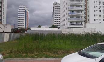 Imagem 7: Lotes na Pedra Branca