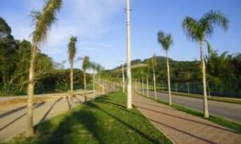 Imagem 4: Porto Alegre - Terreno Padrão - Alphaville