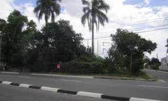 Imagem 6: CANOAS - Terreno Padrão - Fátima