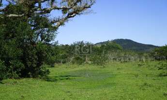 Imagem 3: Porto Alegre - Terreno Padrão - Lami