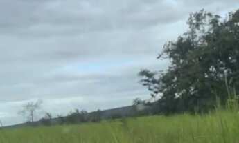 Imagem 4: Fazenda em Lamarao com 330 tarefas de terra