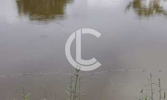 Imagem 3: CHÁCARA COM 1.5 Alqueires A VENDA - localizada EM FRENTE A Br 060