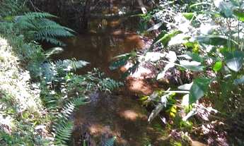 Imagem 7: Chácara formar Bugre, 1200m asfalto, 32.000m², rio/córrego, tanque e área aberta pasto, li