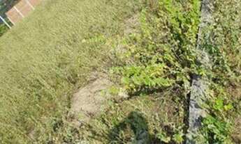 Imagem 5: Oportunidade - Terreno em Bezerros!!