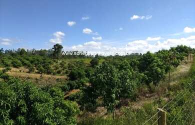 Imagem 4: Área no Xuri com 43.000 (quarenta e três mil metros) a 100 metros da 388 e a 25km do centr