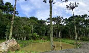 Imagem 4: Terreno Rural de 2 hectares Urubici/Imóvel Rural