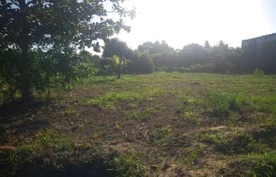 Imagem 4: 12 terrenos juntos, excelente para construção de empreendimento vettical