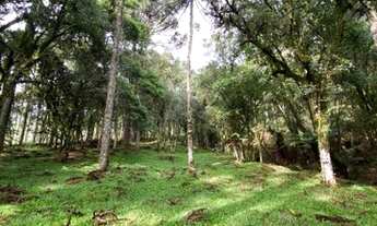 Imagem 5: Terreno Rural de 2 hectares Urubici/Imóvel Rural