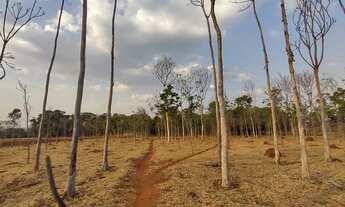 Imagem 7: Chácara para venda, exelente para incorporação, com 55875m² próximo ao Campus da UFG - Goi