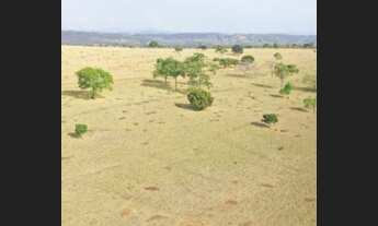 Imagem 2: Fazenda 67 Alqueires Plana 30 a 40 Alqueires de Soja. Regiao jaragua