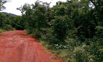 Imagem 2: Exclusivo! Lote/Terreno para venda possui 25462 metros quadrados em Casa Branca - Brumadin