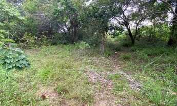 Imagem 4: TERRENOCamaçari