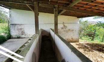 Imagem 7: Propriedade com 6 hectares em área central na cidade de Gravatá