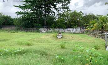 Imagem 7: Chácara com 4 dormitórios à venda, 20627 m² por R$ 2.600.000,00 - Mangabeira - Eusébio/CE