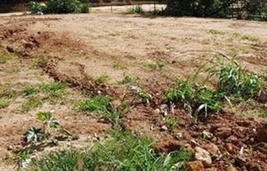 Imagem 4: Terreno à venda, 4500 m² por R$ 1.200.000,00 - Chácaras São Bento - Valinhos/SP