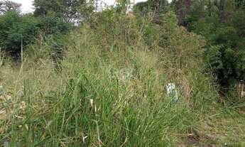 Imagem 2: Porto Alegre - Terreno Padrão - Nonoai