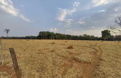 Imagem 5: Chácara para venda, exelente para incorporação, com 55875m² próximo ao Campus da UFG - Goi