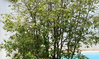 Imagem 2: Casa para venda tem 134 m2 de área construída , lote de 225 m2, no bairro piranga II em