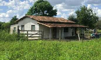 Imagem 3: Excelente Fazenda - Itapirapuã