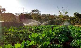 Imagem 2: CHÁCARA SÃO DOMINGOS GOIÂNIA/GO