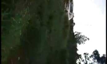 Imagem 4: Sítiozinho no alto do caraa