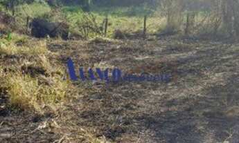 Imagem 4: Bairro do Castanho - Área de 40.000 m² para incorporação em rodovia