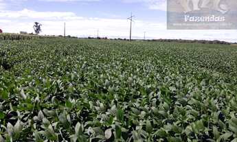 Imagem 5: Fazenda em Porangatu GO - 501 alqs (2.424,84 Ha