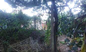 Imagem 2: Belo Horizonte - Loteamento/Condomínio - Salgado Filho